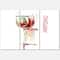 Designart - Red Wine on White Background - Contemporary Canvas Art Print